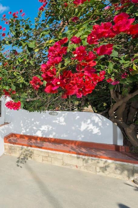 Greek Style Ground Floor Apartment & Pool เอียลิซอส ภายนอก รูปภาพ
