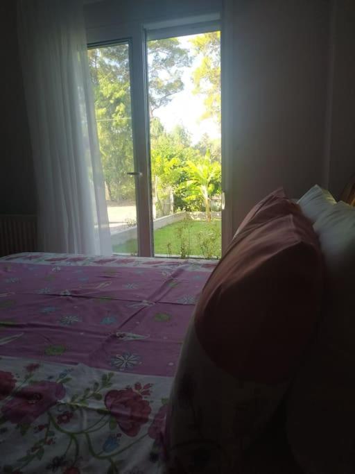 Greek Style Ground Floor Apartment & Pool เอียลิซอส ภายนอก รูปภาพ