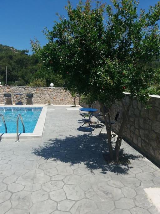Greek Style Ground Floor Apartment & Pool เอียลิซอส ภายนอก รูปภาพ
