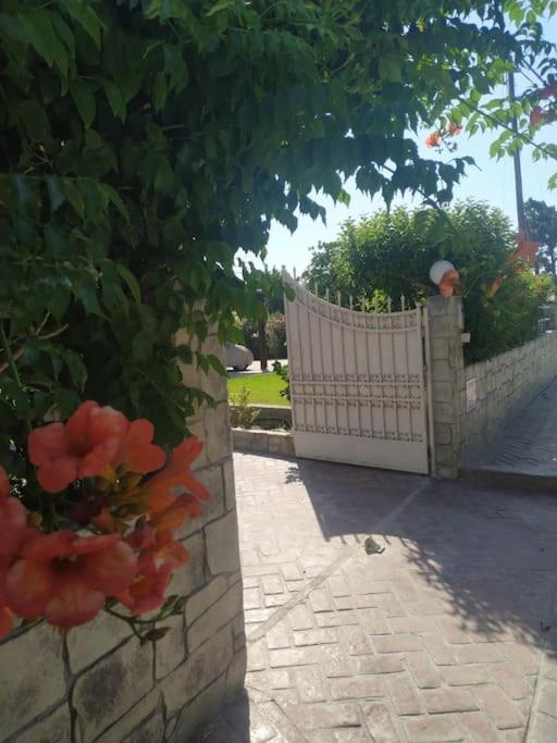 Greek Style Ground Floor Apartment & Pool เอียลิซอส ภายนอก รูปภาพ