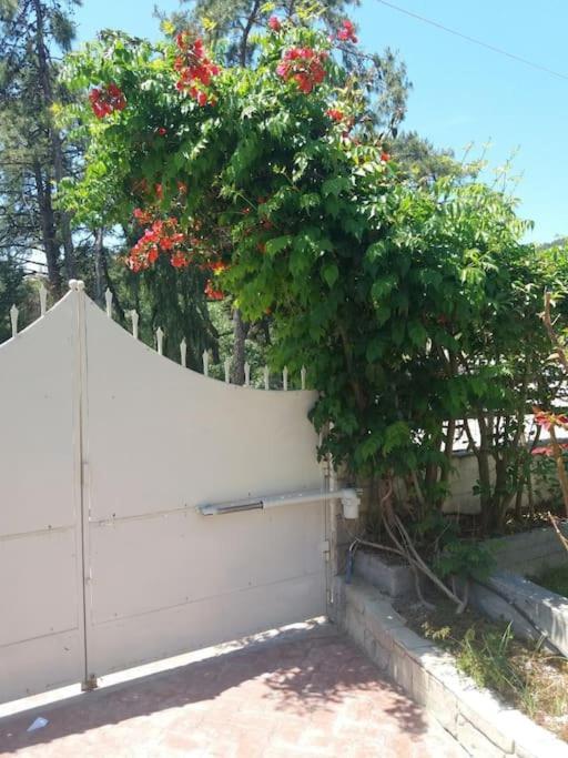 Greek Style Ground Floor Apartment & Pool เอียลิซอส ภายนอก รูปภาพ